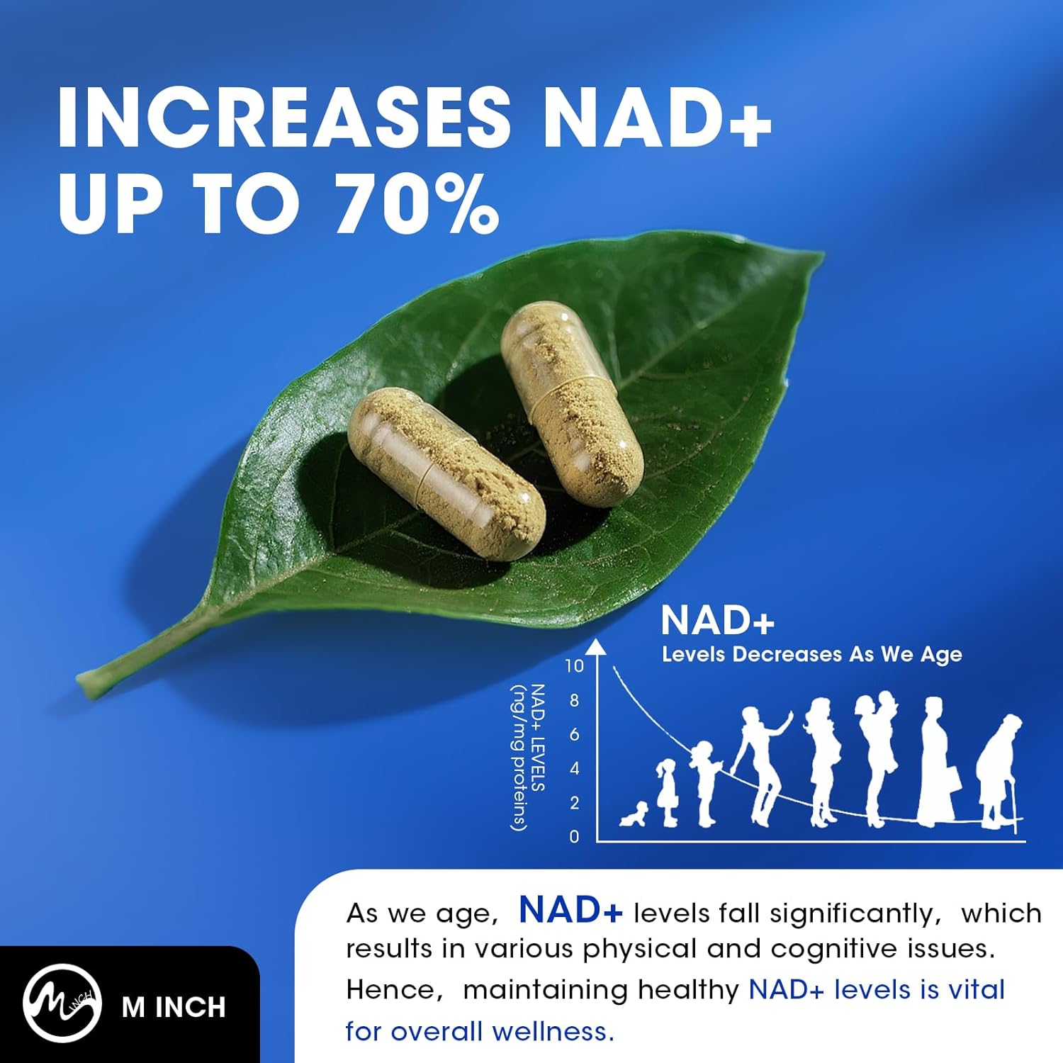 NAD+ Supplement, Liposomal NAD+ Supplement with Resveratrol for Energy, Anti-Aging, Cell Regeneration Support, Nicotinamide Riboside, L-Theanine, Turmeric, Quercetin, Highest Absorption, 120 Capsules - M inch