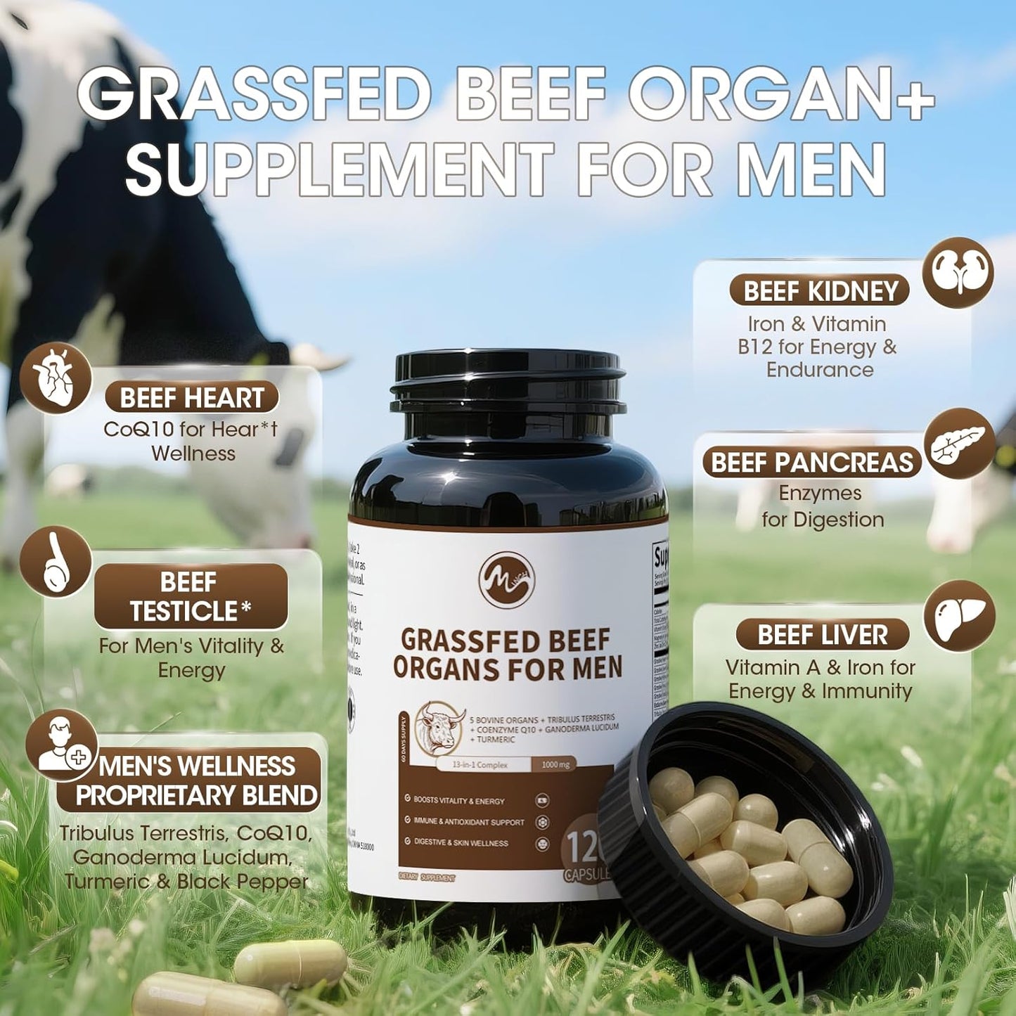 13-in-1 Vitality Complex Beef Organs Supplement for Men with Grass-Fed Beef Liver, Heart, Kidney, Pancreas, Tribulus Terrestris, CoQ10, Ganoderma