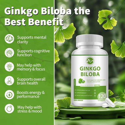 200mg Ginkgo BiloBa Extract 120 Capsules for Memory Supports