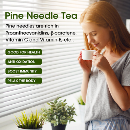 Organic Pine Needle Tea - Natural Dried Pine Needle Tea for Boost Immunity, Premium Chinese Pine Needles Tea Bags, Caffeine Free - 30 Teabags