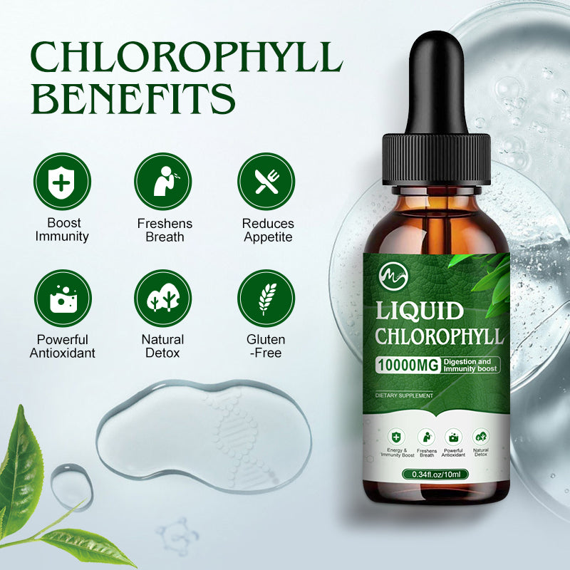 Minch Liquid Chlorophyll Drops Dietary Supplement Liquid Chlorophyll Drop