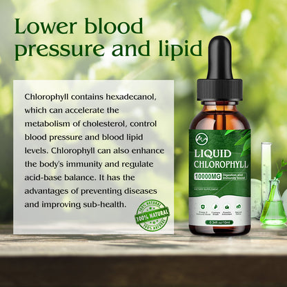 Minch Liquid Chlorophyll Drops Dietary Supplement Liquid Chlorophyll Drop