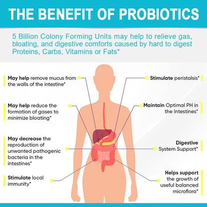 Probiotic Gummies Daily Immune Support Digestive Gummy 5 Billion CFU Gut Supplement Weight Loss Products 60pcs